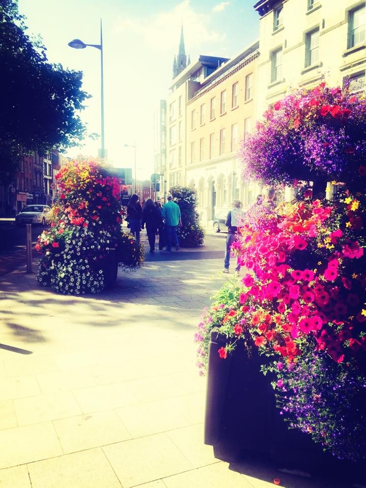 Dublin, Ireland photo 7