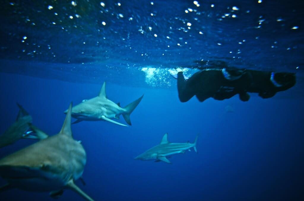 Durban, South Africa photo 5