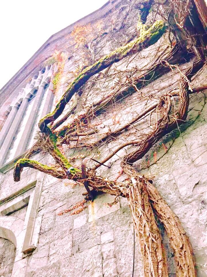 Galway, Ireland