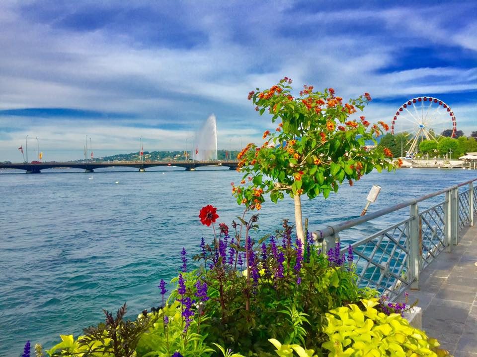 Geneva, Switzerland photo 7