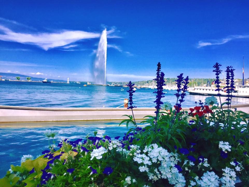 Geneva, Switzerland photo 17
