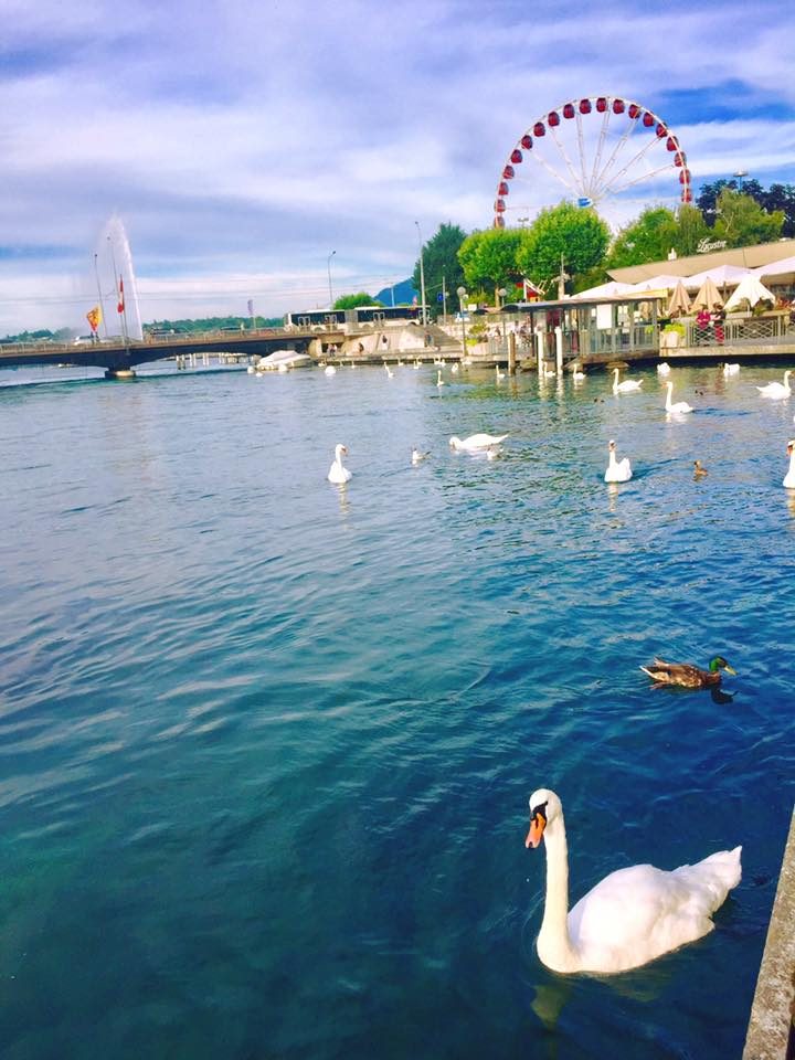 Geneva, Switzerland photo 22
