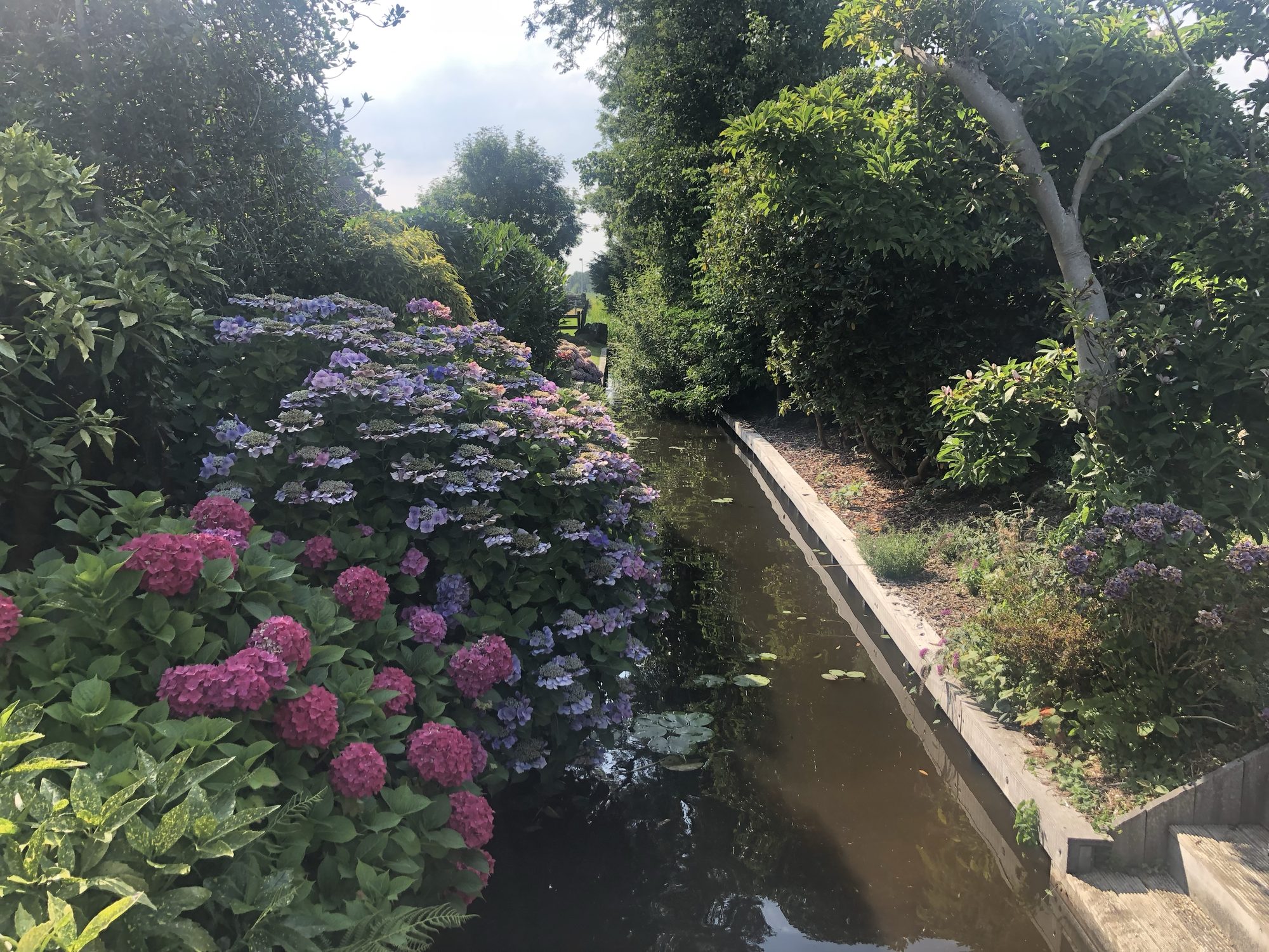 Giethoorn, Netherlands photo 2