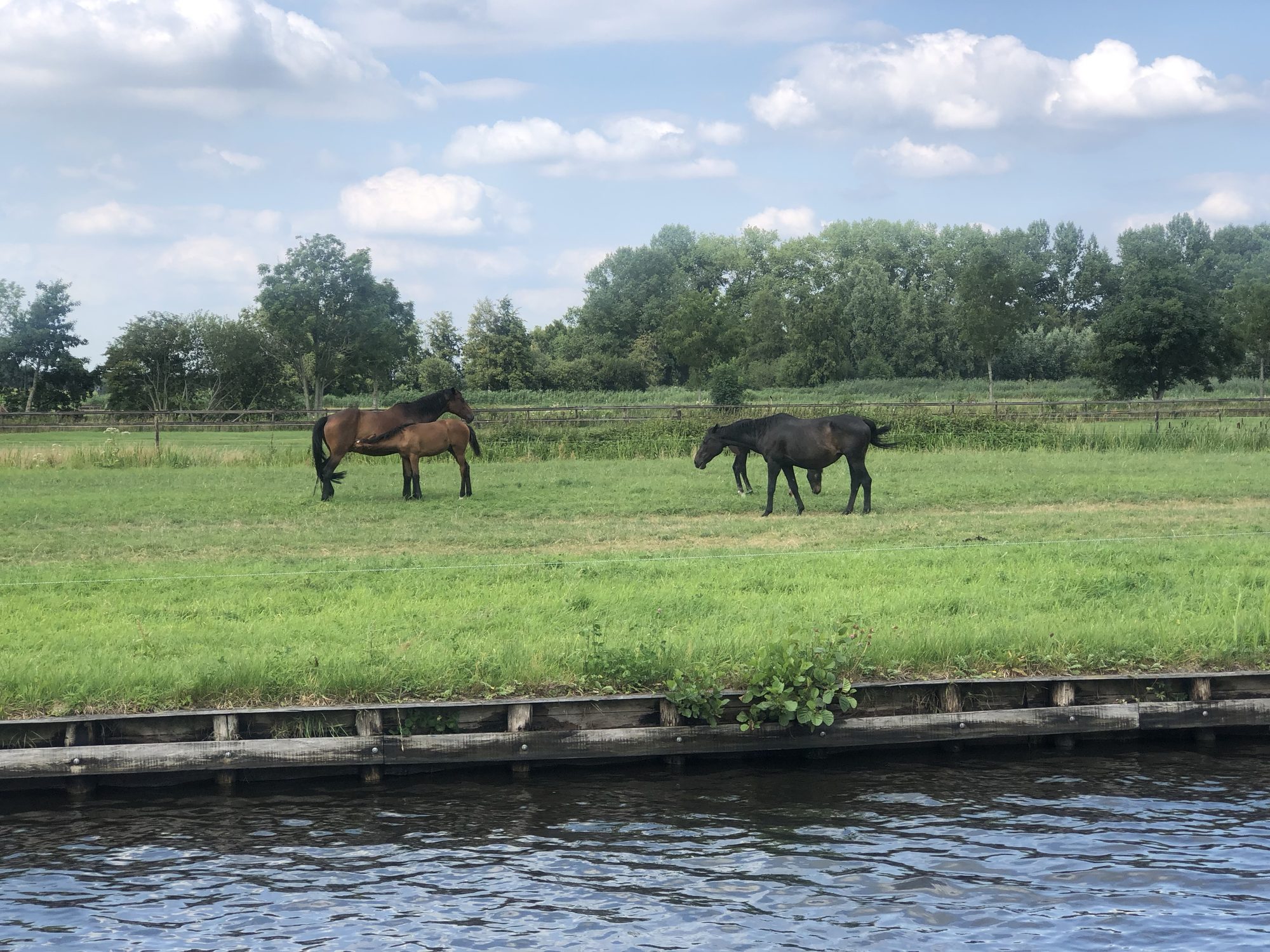 Giethoorn, Netherlands photo 15