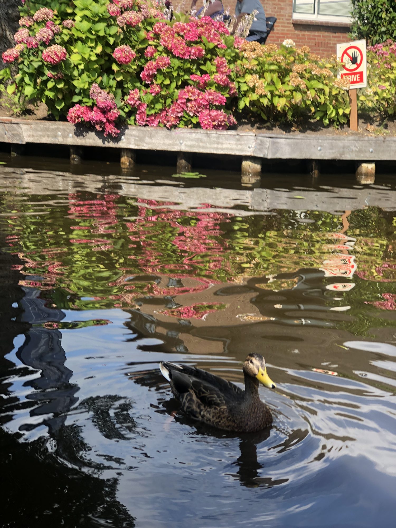 Giethoorn, Netherlands photo 20