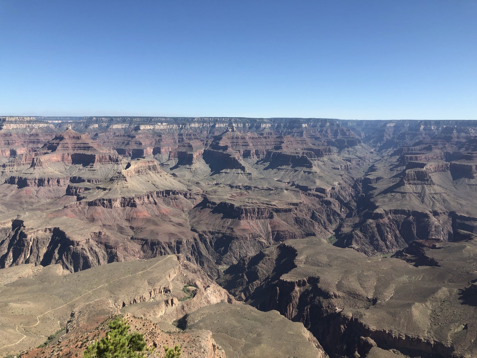 Grand Canyon National Park, Arizona photo 8
