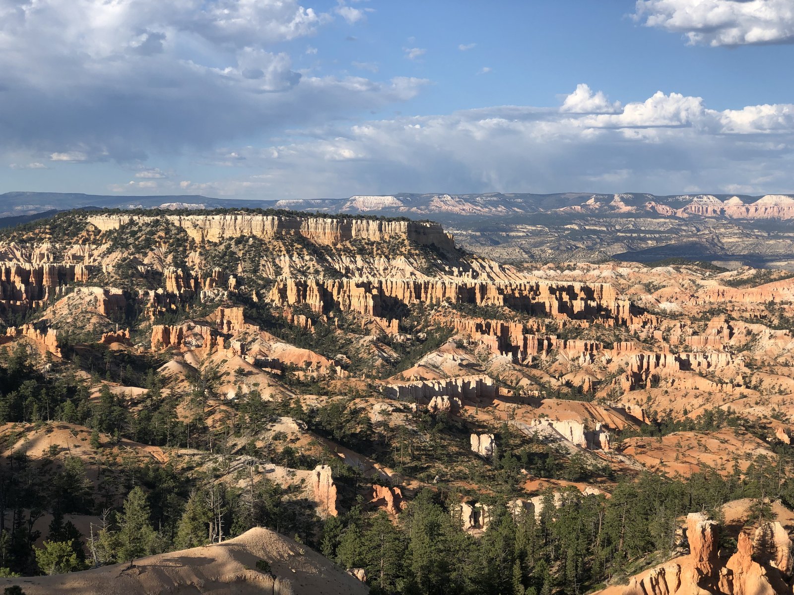 Grand Canyon National Park, Arizona photo 16