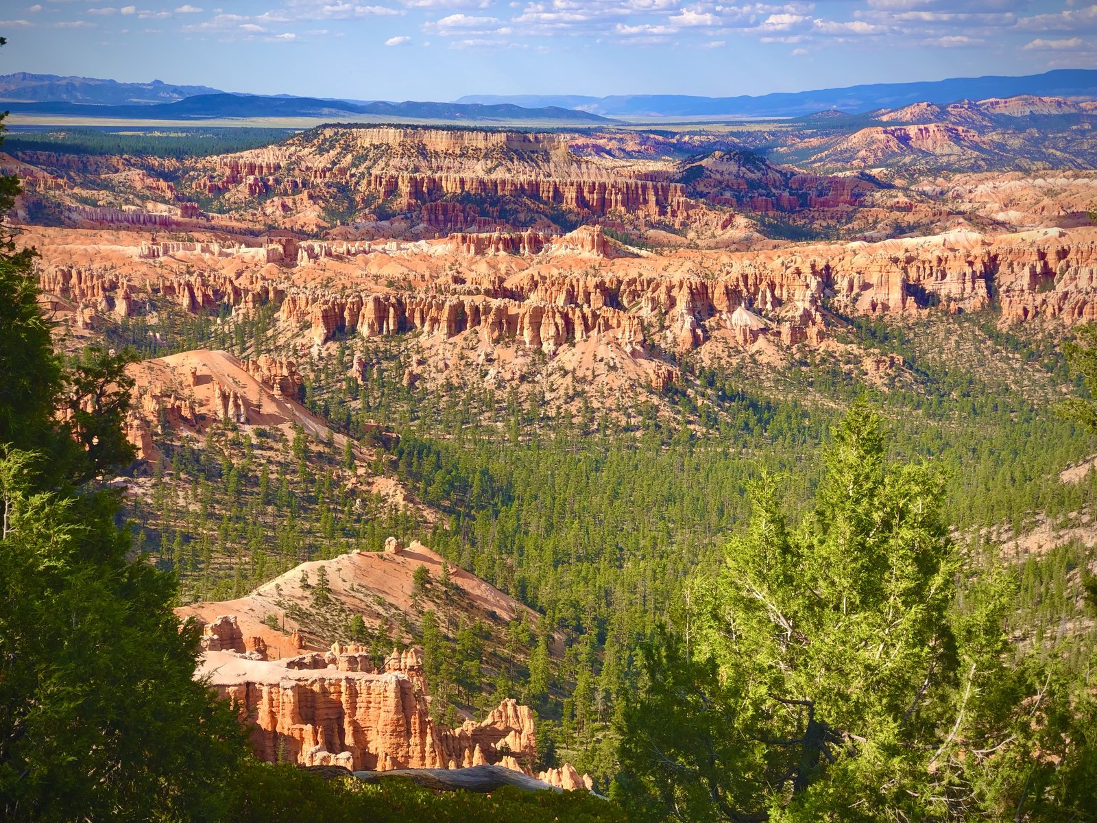 Grand Canyon National Park, Arizona photo 19
