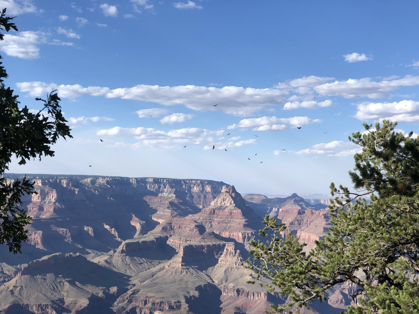 Grand Canyon National Park, Arizona photo 22