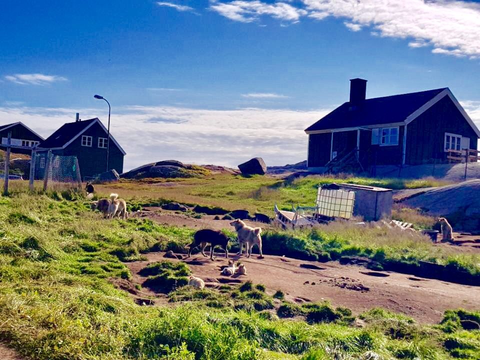Greenland photo 114