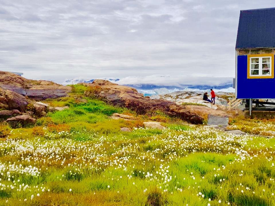 Greenland photo 133