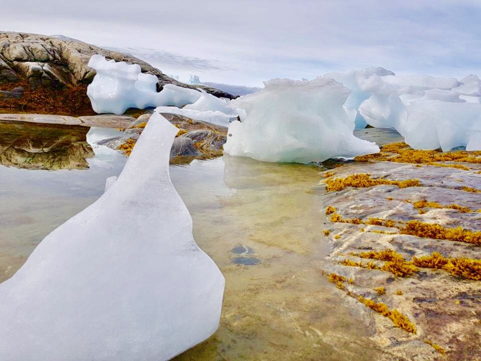 Greenland photo 135