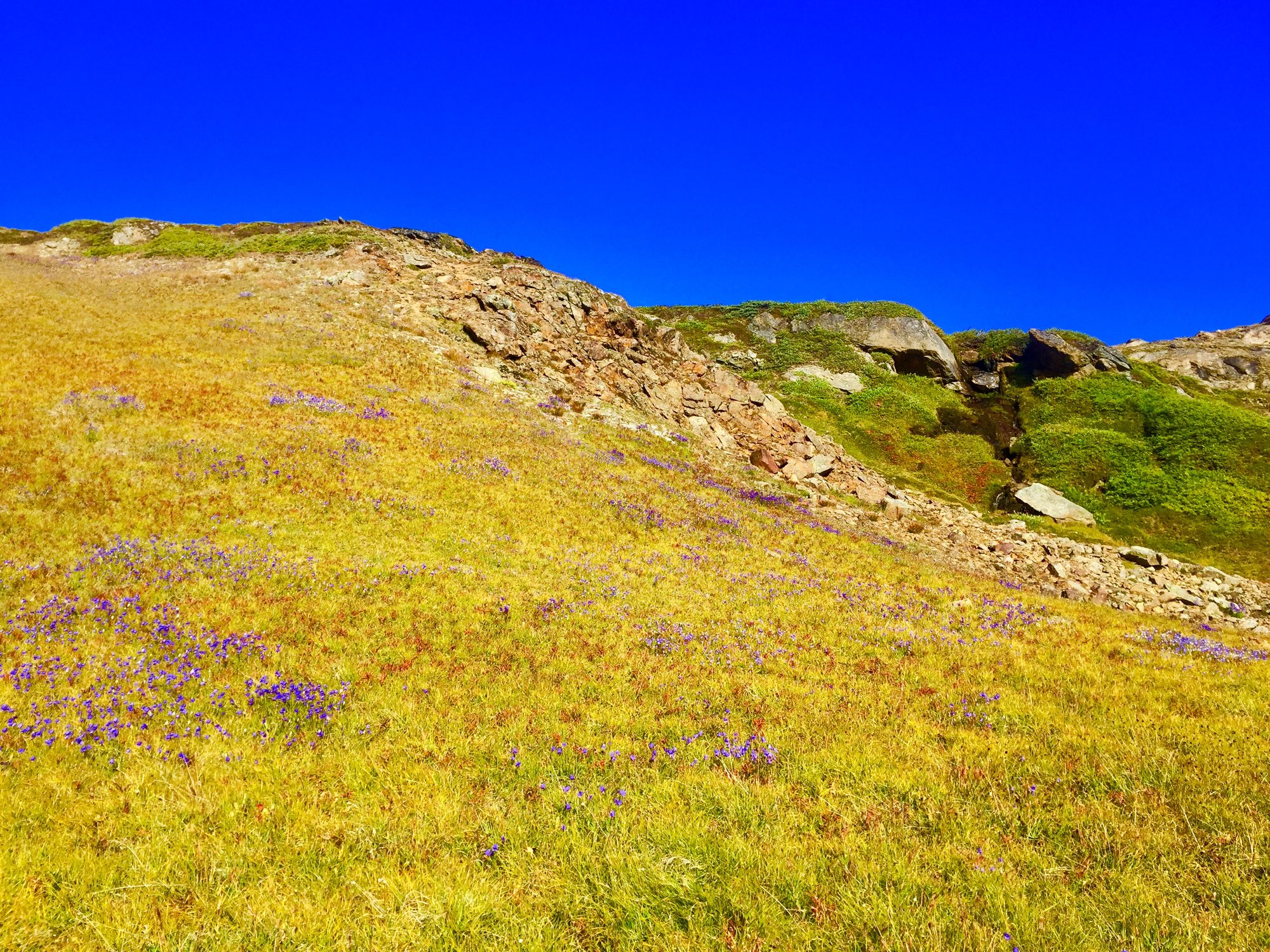 Greenland photo 148