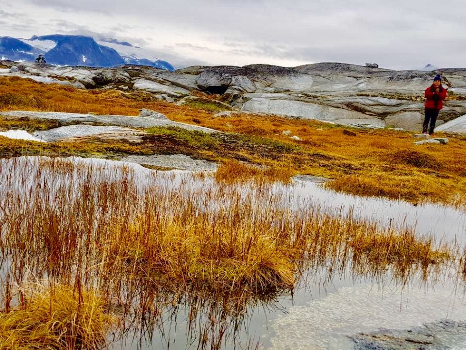 Greenland photo 149