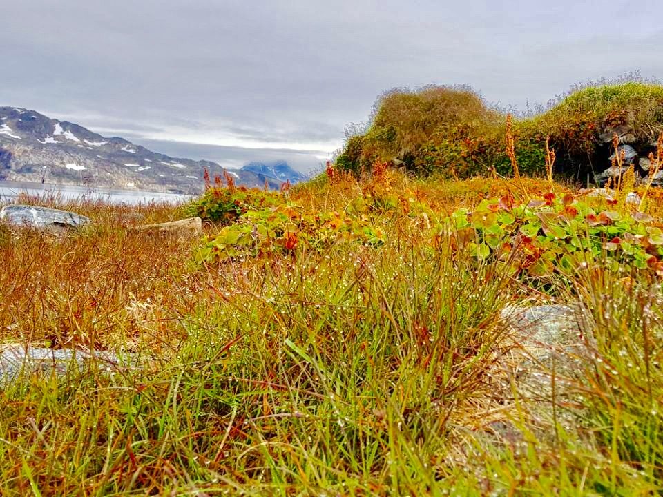 Greenland photo 15