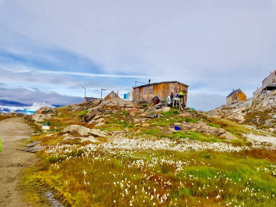 Greenland photo 33
