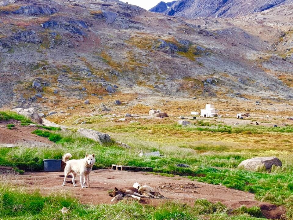 Greenland photo 34