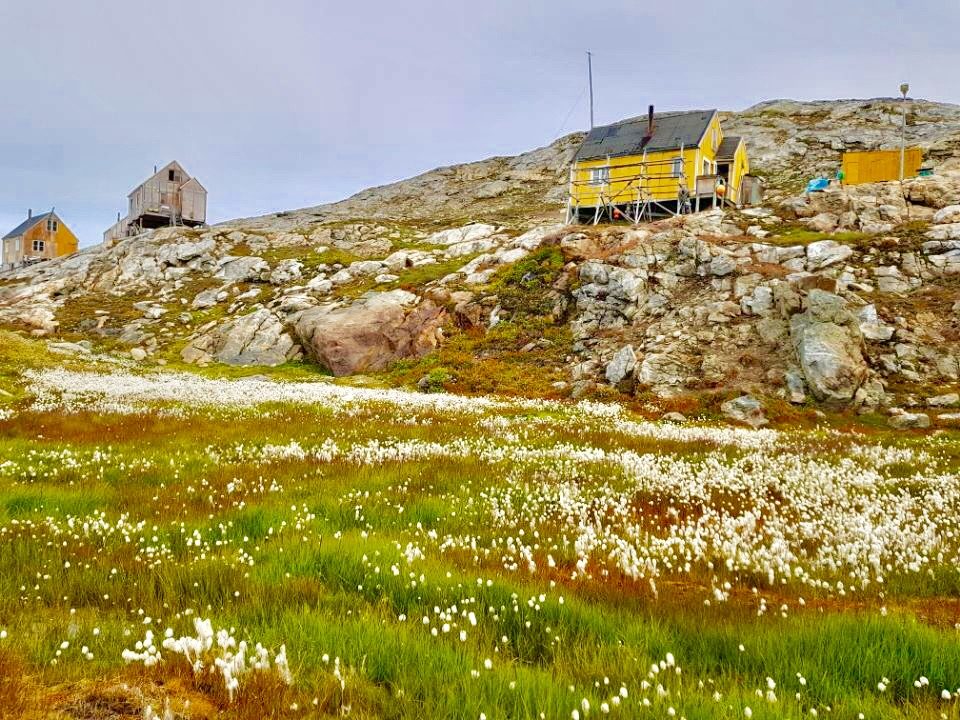 Greenland photo 38