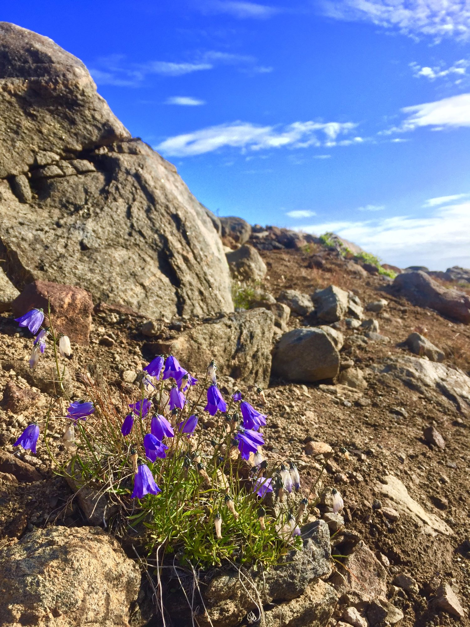 Greenland photo 64