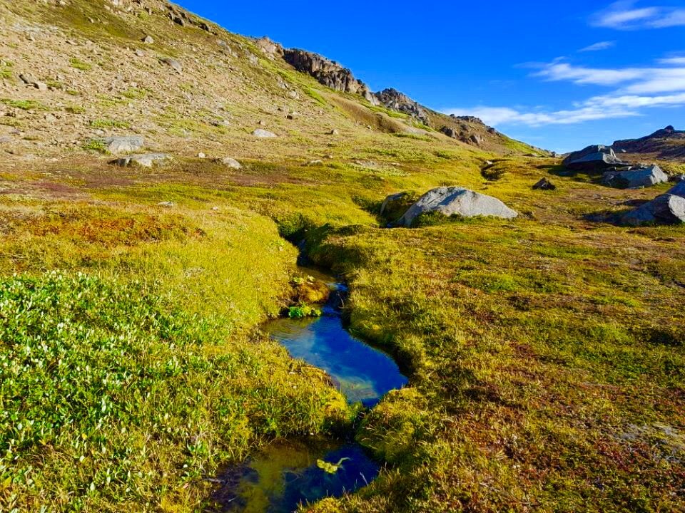 Greenland photo 75