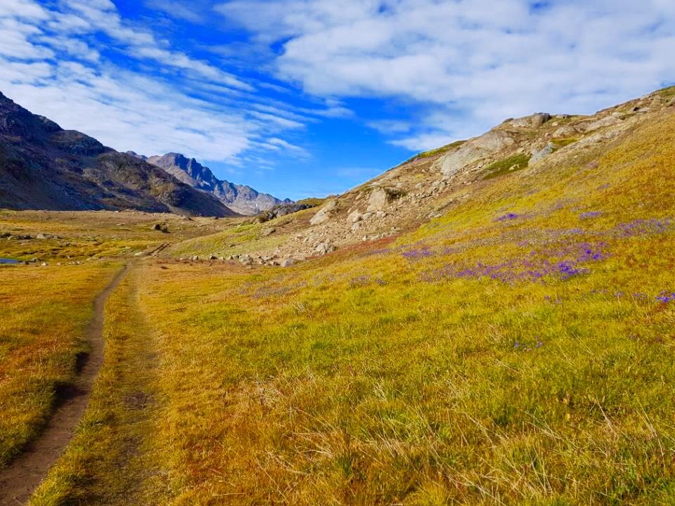 Greenland photo 79