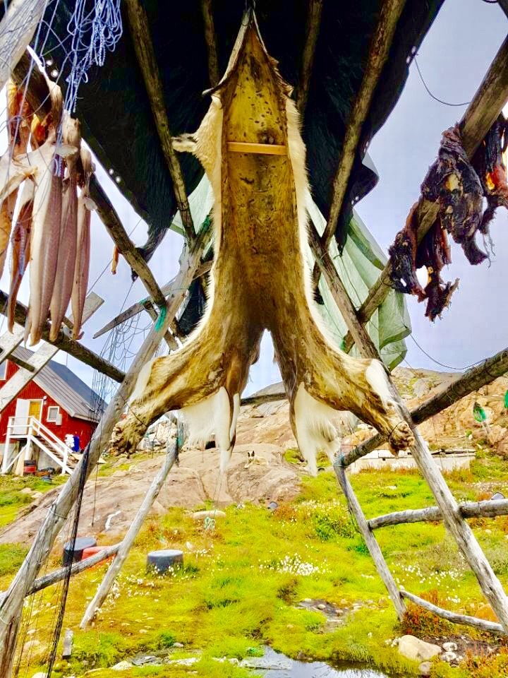 Greenland photo 94