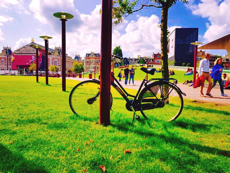 Haarlem, Netherlands photo 2