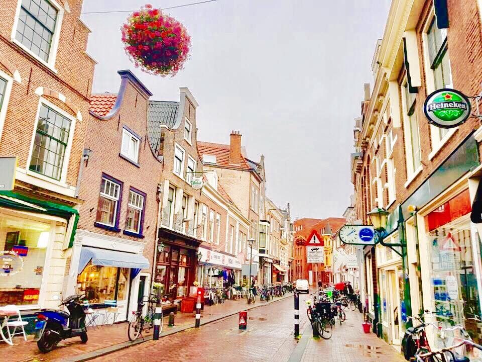 Haarlem, Netherlands photo 4