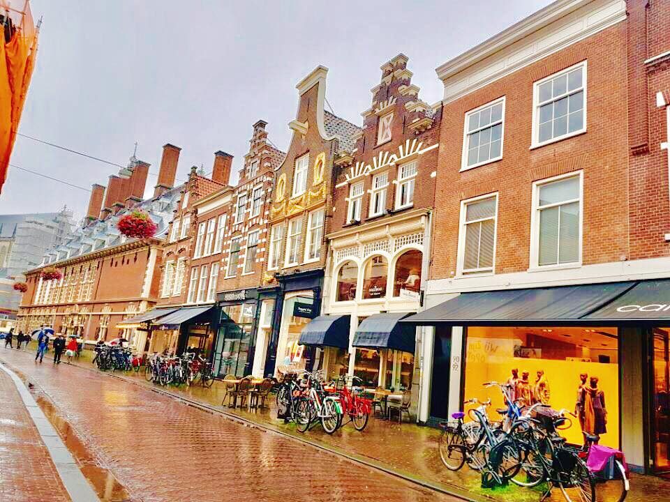 Haarlem, Netherlands photo 7