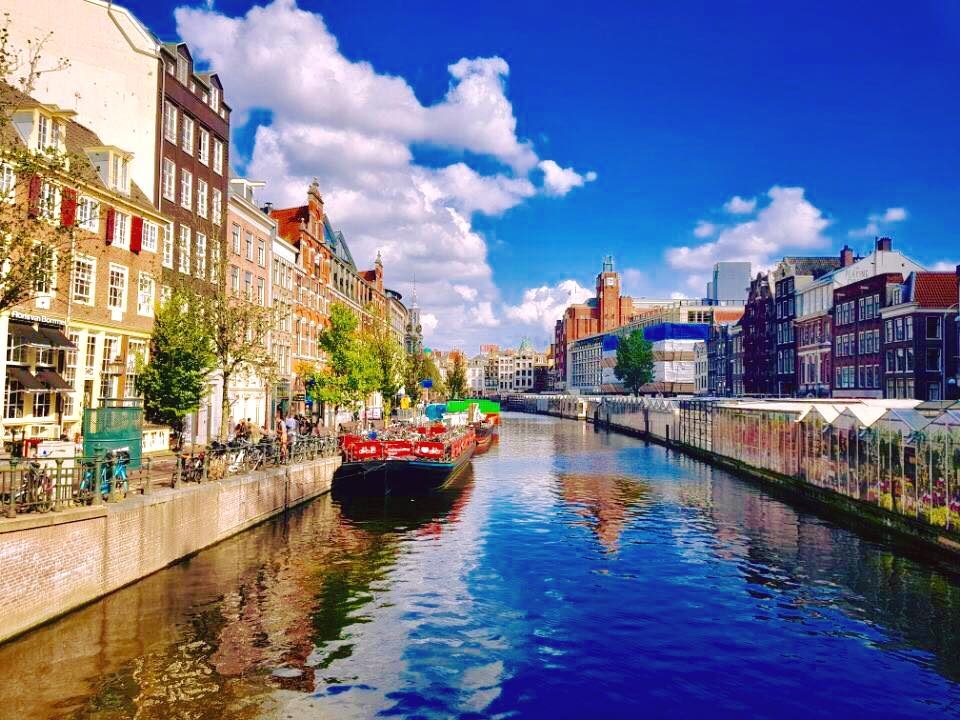 Haarlem, Netherlands photo 12