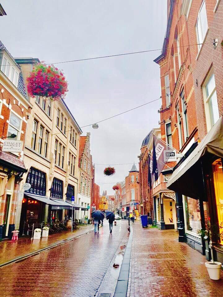 Haarlem, Netherlands photo 13