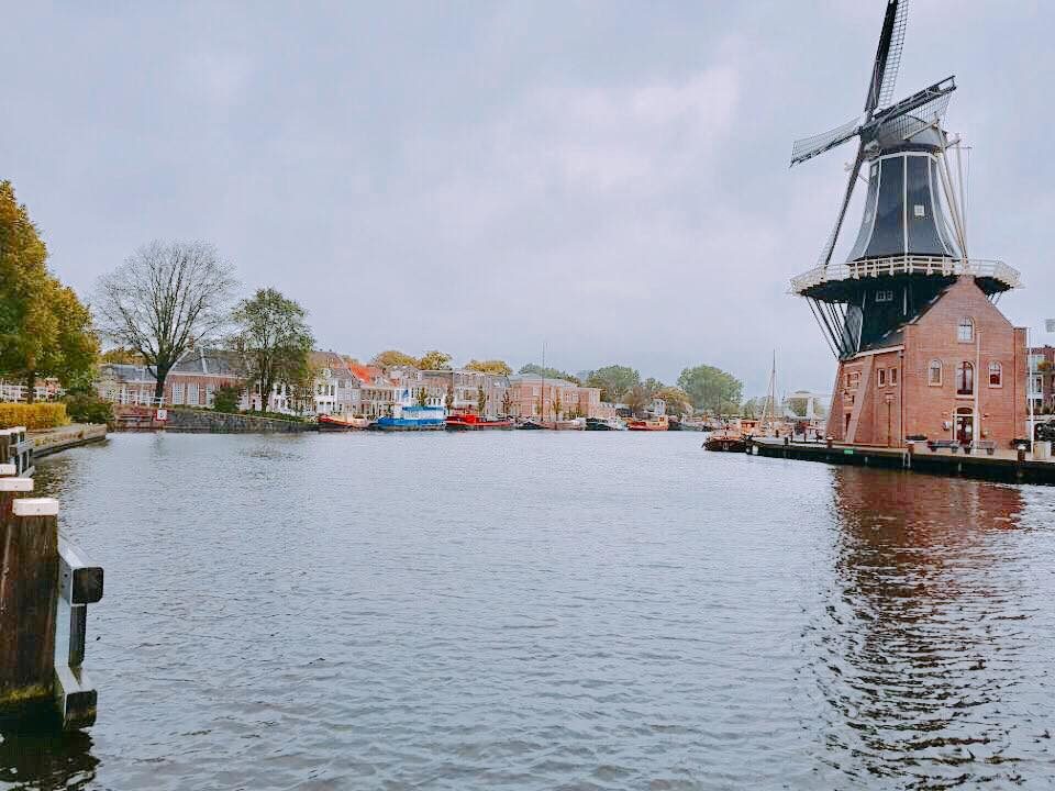 Haarlem, Netherlands photo 21