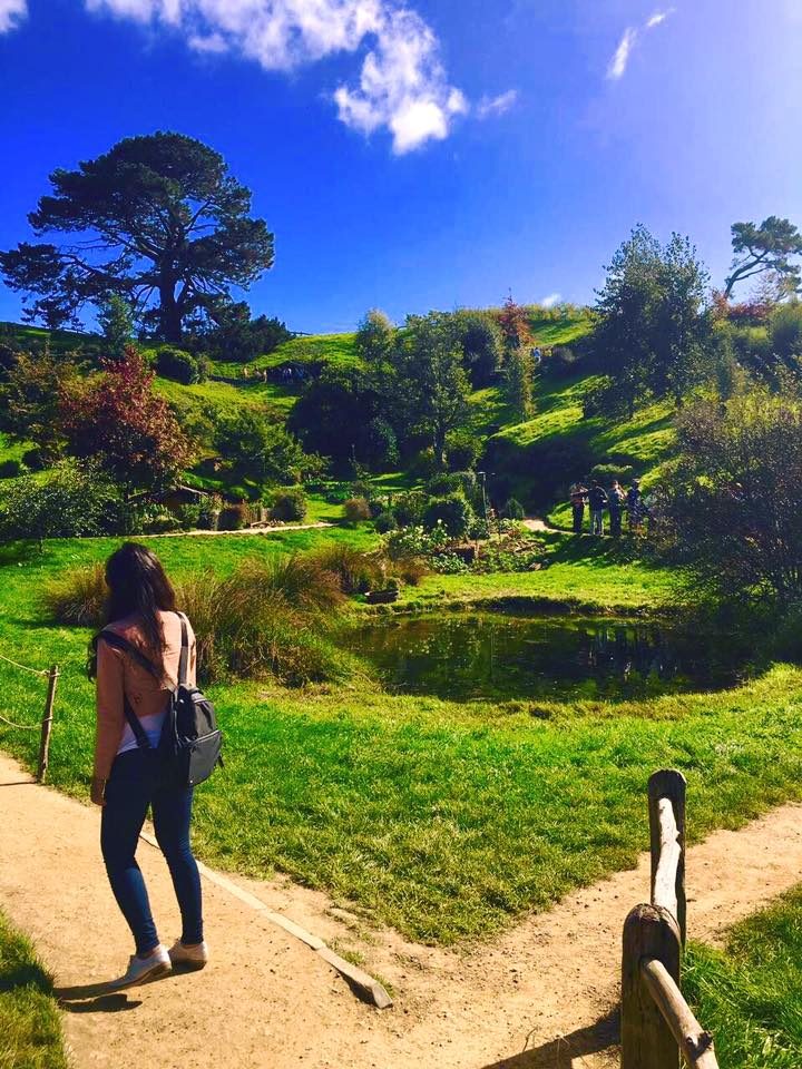 Hobbiton, New Zealand photo 5