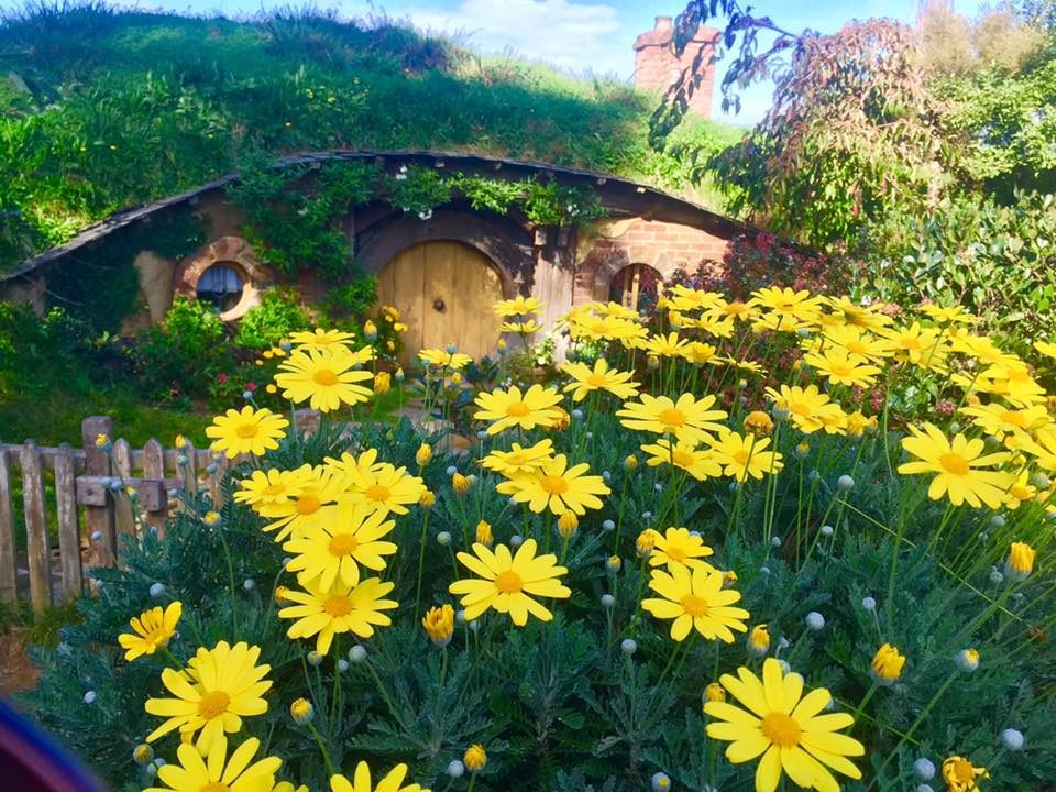 Hobbiton, New Zealand photo 6