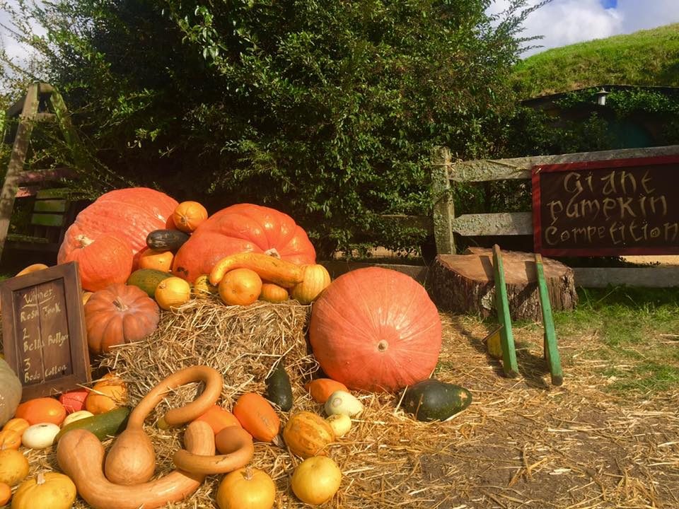 Hobbiton, New Zealand photo 7