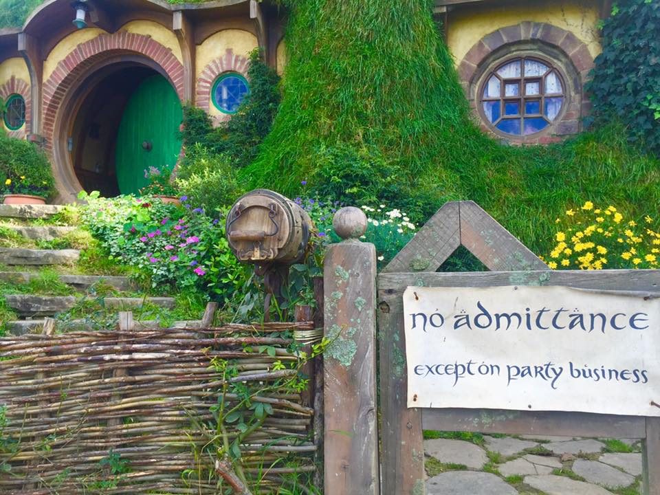 Hobbiton, New Zealand photo 9