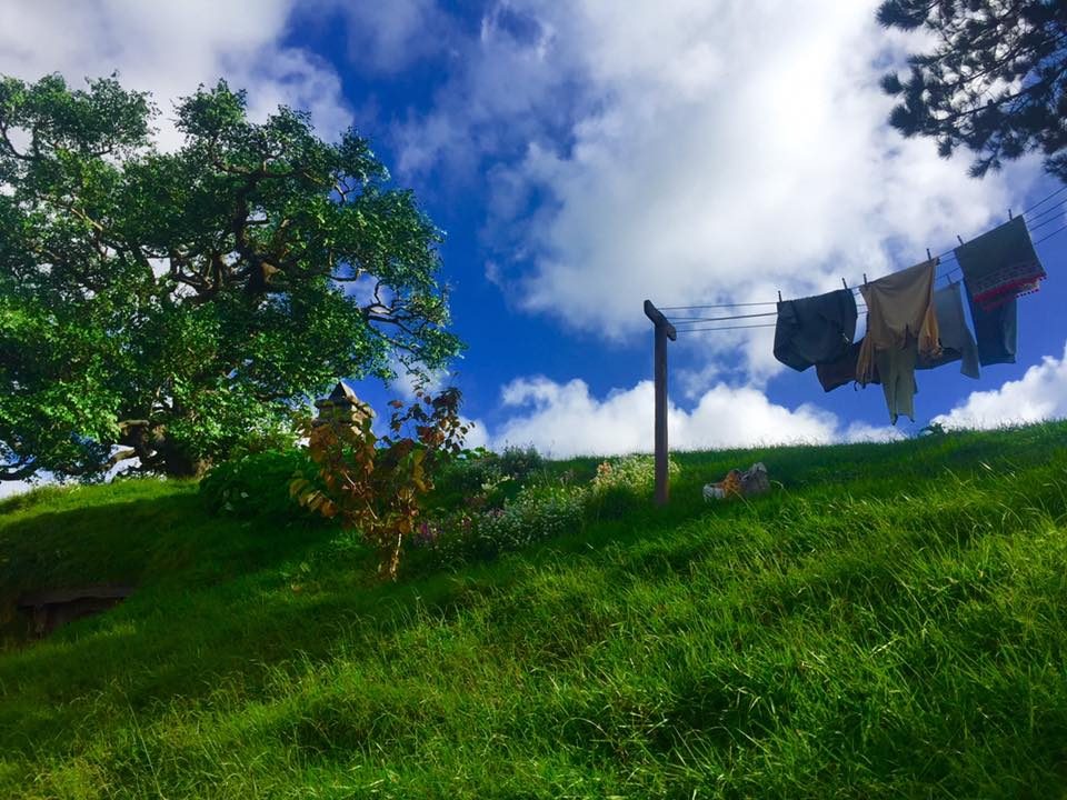 Hobbiton, New Zealand photo 14