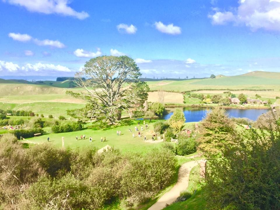 Hobbiton, New Zealand photo 18