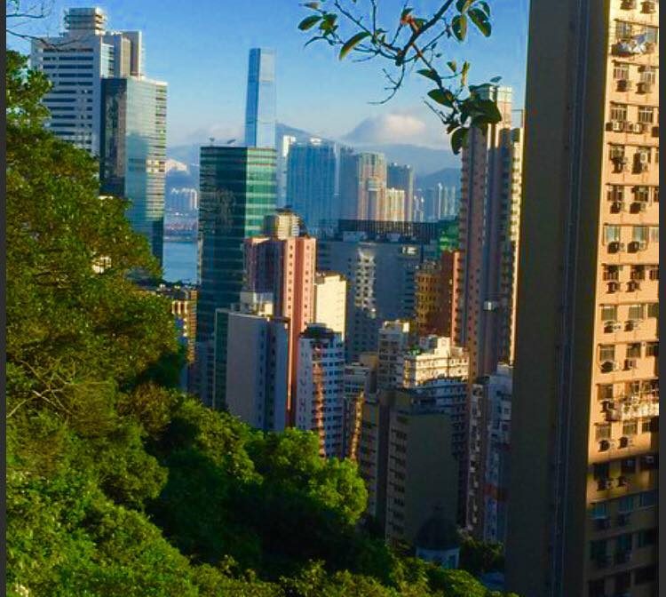Hong Kong photo 8