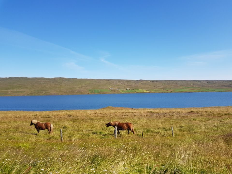 Iceland photo 103