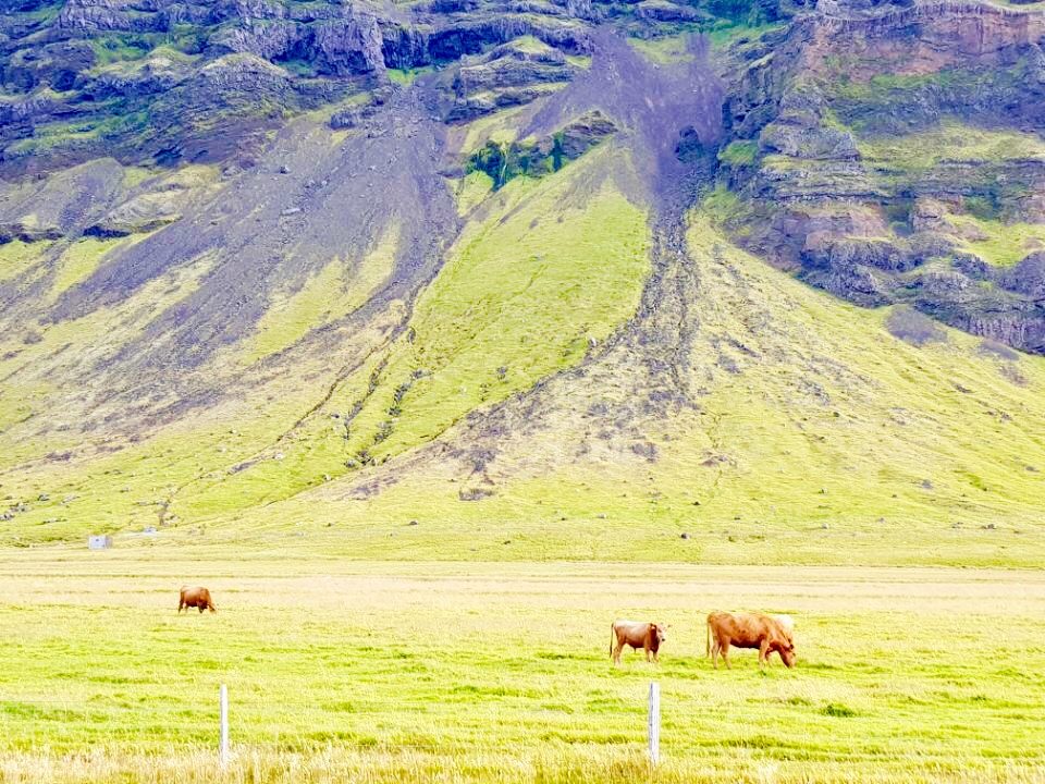 Iceland photo 105