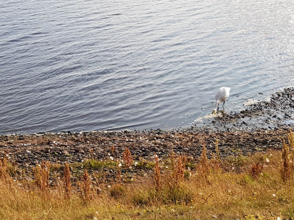 Iceland photo 107