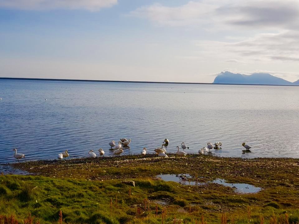 Iceland photo 125