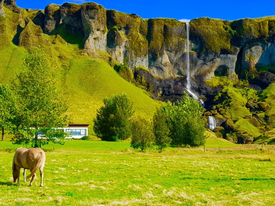 Iceland photo 131