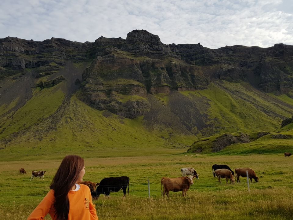 Iceland photo 174