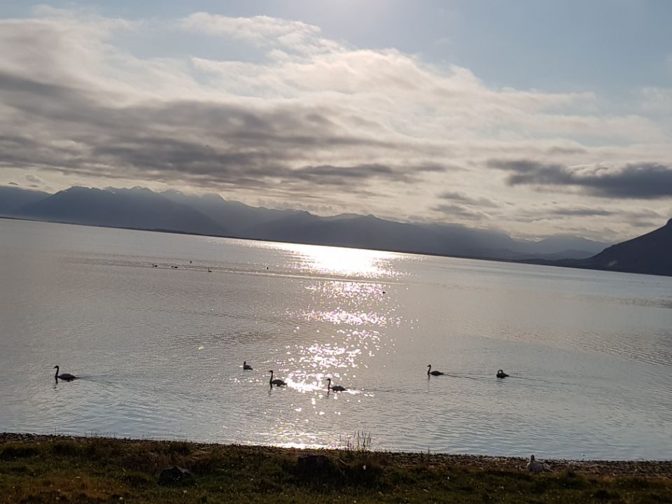 Iceland photo 176
