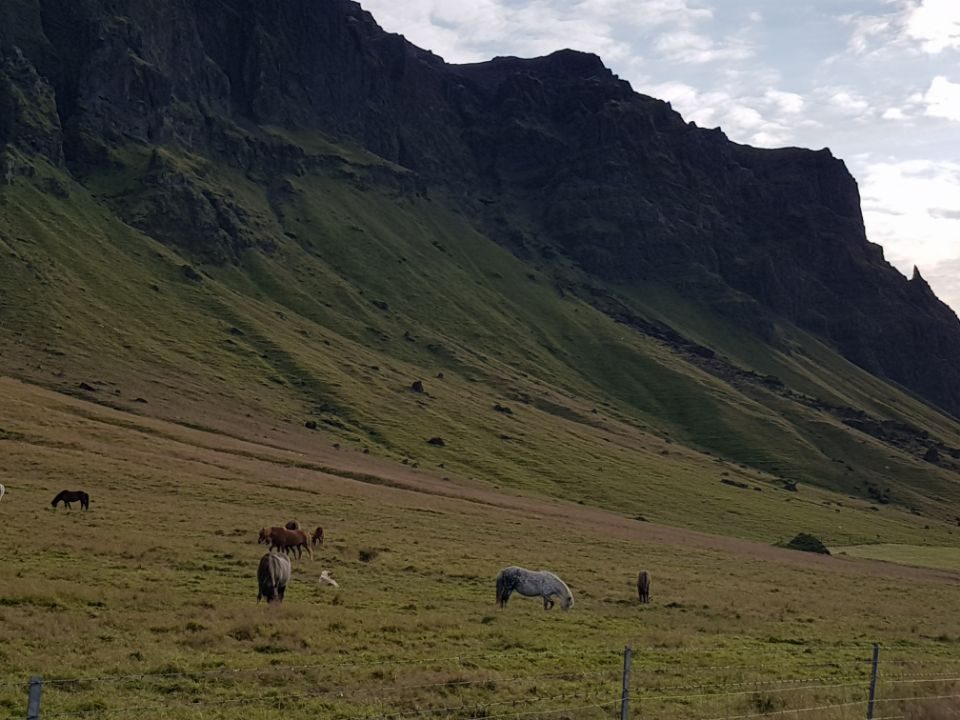 Iceland photo 177