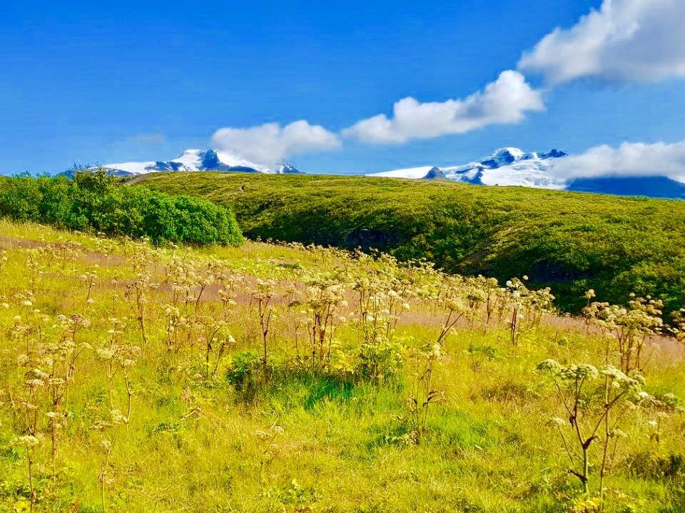 Iceland photo 210