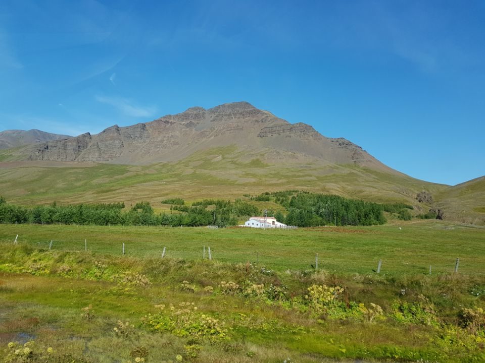 Iceland photo 260