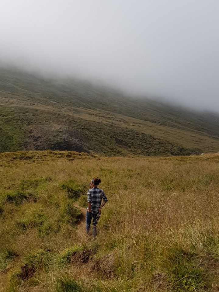 Iceland photo 261